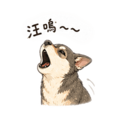 花色米克斯阿寶