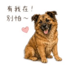 李家狗聚