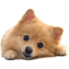 Jeno_20260428123713