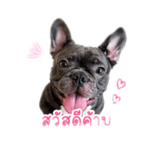 Ting Tang Tao_20260428123854
