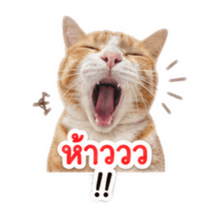 Aoom_20260428124326