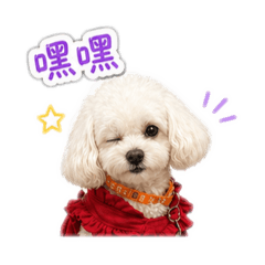 調皮搗蛋小花兒