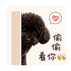 我是花花小公主