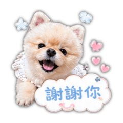公主小妹（愛醬）