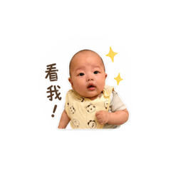 緯緯 奇異果