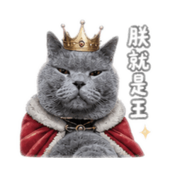 朕我同意了