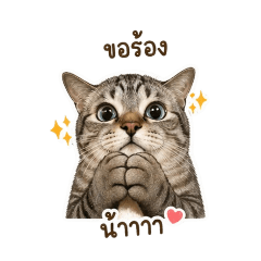 sticker cat_20260430103028