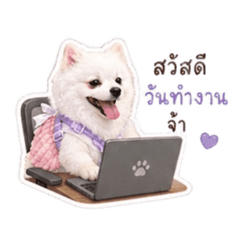 Tutortitch