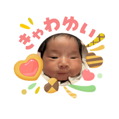 PANDA_20260503184045
