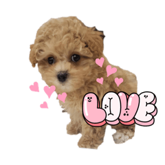 eripon_20260503184336