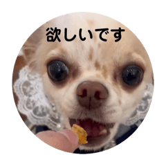 kohime_hachi.ppy