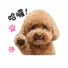 寶貝罵搜