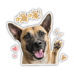 六六日常語錄