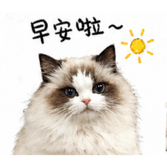 阿多的生活日常