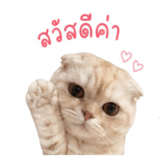 Momojoji_20260428124738
