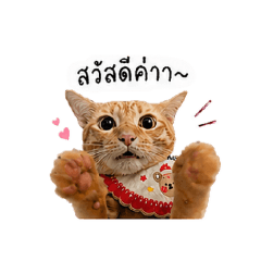 Kunphattt_20260428125145