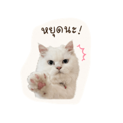 Eiing_20260428125330