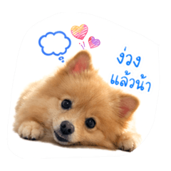Jeno_20260