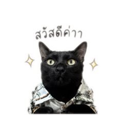 Kaitoon_20260428125401