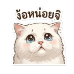 Panpan_20260428125513