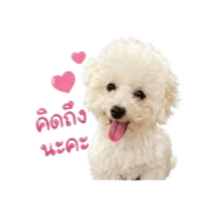 MochiloveMomy