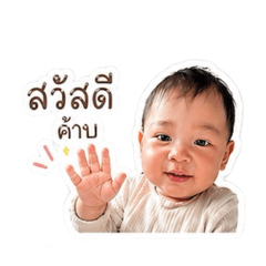 Pinnn_20260428125529