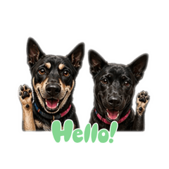 Khao The Dogs