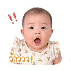 TATN Family 25_20260428125555