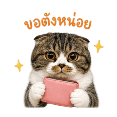 Luna the cat so cute