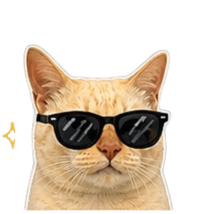 Meetang Yellow cat