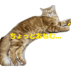 kinakonooba_20260503184338