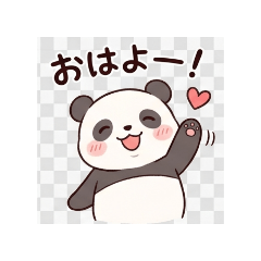Panda boys boys