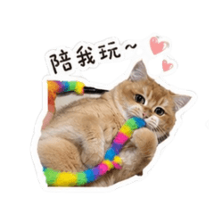 歐芙洛+秋風
