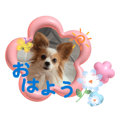 chako_20260503185535