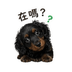 請大家來買喔