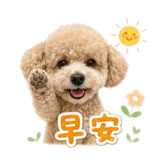 Q寶日常問候