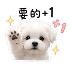 錢錢の網購