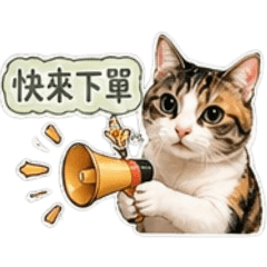 開團啦！BOBO 營業中