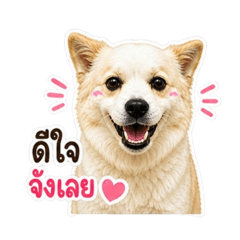 Bajung V.1