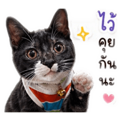 Chochatninja_20260501221457
