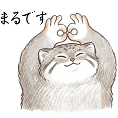 Daily chat stamps of a Pallas's cat