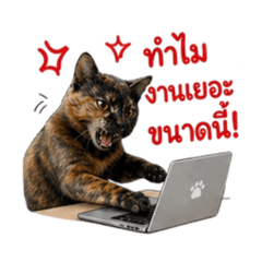 Aunye_20260502212919
