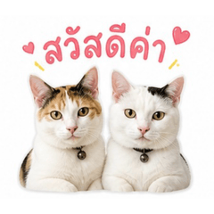 Thung Dab Mae Yai