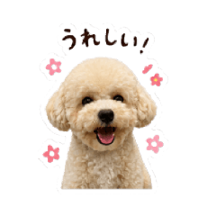 S.Yoshida_20260503180011