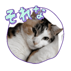 ayanan_20260503175126