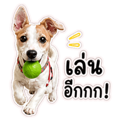 Billion Dog V.2