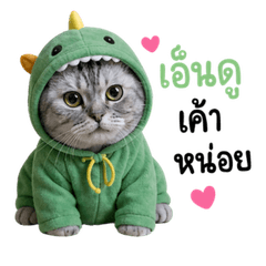 Meow Meow Cookie