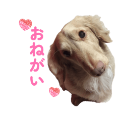 kuuta_20260503185747