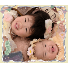 tomo_20260503185905