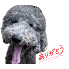 SHINOBU_20260503191028